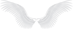 Angel Wings 